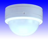 ���C�����X�^�C�v